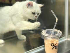 -% Arabica阿拉比卡咖啡(武康路店)