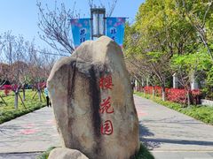 -高东镇樱花园