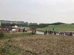 -迪茵湖田家舍生态农场