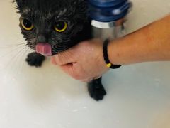 -喵汪宠物生活馆(涞坊路店)