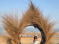 -日照世帆赛基地