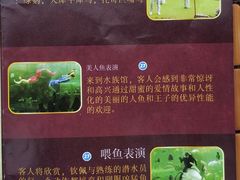 -芽庄珍珠岛游乐园