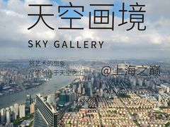 -上海中心大厦