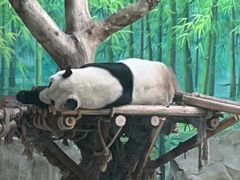 -灵玲国际马戏城