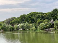-八大山人梅湖景区