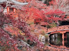 -醍醐寺