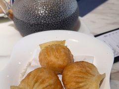 -点都德·毕德寮