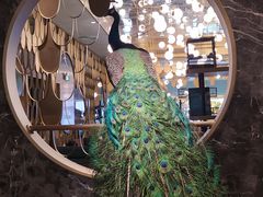 门面-雀蓝川菜(奥体广场店)