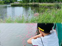 -西海子公园