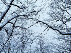 -终南山南五台景区