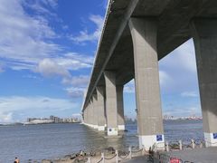 -中澳友谊花园