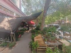 -宝鸡东道花鸟鱼虫市场(吉利花园商场店)