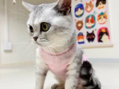 -宠颐生中康贝怡动物医院