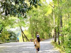 -腾冲云峰山