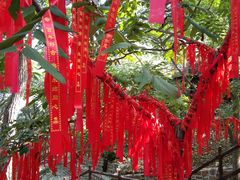 -山叶口景区