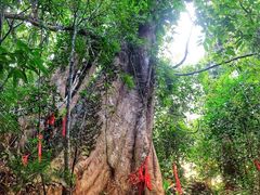 -七仙岭温泉国家森林公园