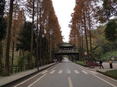 -青城山