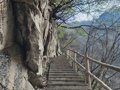 -西安祥峪森林公园