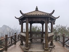 -大岭沟猕猴桃谷风景区
