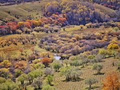 -塞罕坝国家级自然保护区