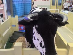 -红星前进面包牛奶公司(君太店)