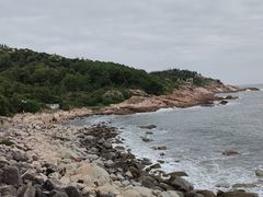 -广东惠东海龟国家级自然保护区