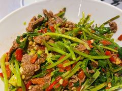 香菜炒牛肉-壹盏灯(惠农店)