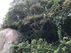 -海南铜鼓岭景区