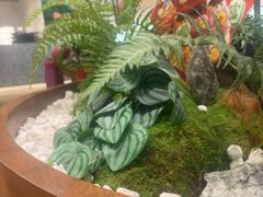 -糖糖屋•糖水•雪花冰店(时尚天河店)