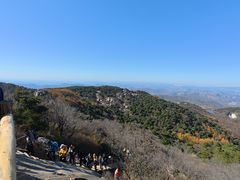 -鲁山国家森林公园