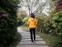 -艾溪湖湿地公园