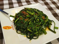 马来风光-文东记(马里士他路)