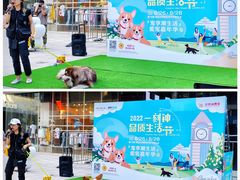 -中粮·祥云小镇