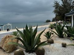 -寒舍蒸鲜(四海马术庄园店)