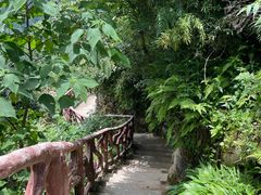-鹿院坪生态旅游景区