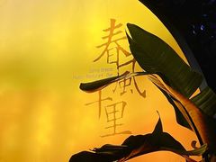 -春风十里音乐餐吧(四会店)