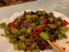 -文三里屯面馆(三里屯店)