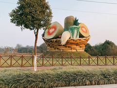 景点-成都大熊猫繁育研究基地