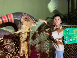 -恐龙探索乐园(磁器口店)