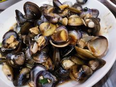 -老品芳