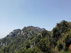 -王顺山国家森林公园