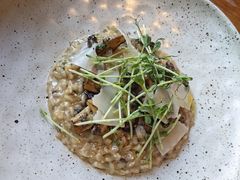 -THE CANNERY&JUJU 新鲜海鲜·牛排美食酒廊