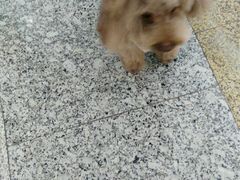 -乐宠宠物店(世纪金源店)