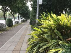 -龙溪(地铁站)