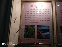 -上海昆虫博物馆