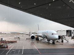 -上海浦东国际机场-T2航站楼