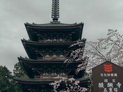 -醍醐寺