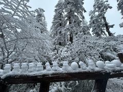 -瓦屋山景区