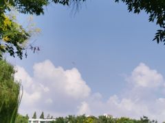 -运河游船(武林门码头)