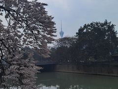 -红星桥(地铁站)